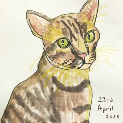 Yuya Kubota | Hotaru the Cat | Open Walls 2020 | Java Creative Cafe
